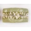 Spirit Halloween Monster Horror Teeth -MELONHALLOW Sales 01097955 a