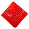 Spirit Halloween Colored Bandana -MELONHALLOW Sales 01235993 a