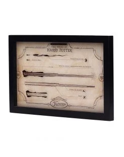 Spirit Halloween Harry Potter Wand Shadowbox - Decorations -MELONHALLOW Sales 01452424 c