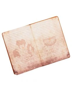 Spirit Halloween Hocus Pocus Journal - Deluxe -MELONHALLOW Sales 01570878 b