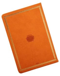 Spirit Halloween Hocus Pocus Journal - Deluxe -MELONHALLOW Sales 01570878 c