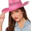 Spirit Halloween Pink Straw Cowboy Hat -MELONHALLOW Sales 01573021 a