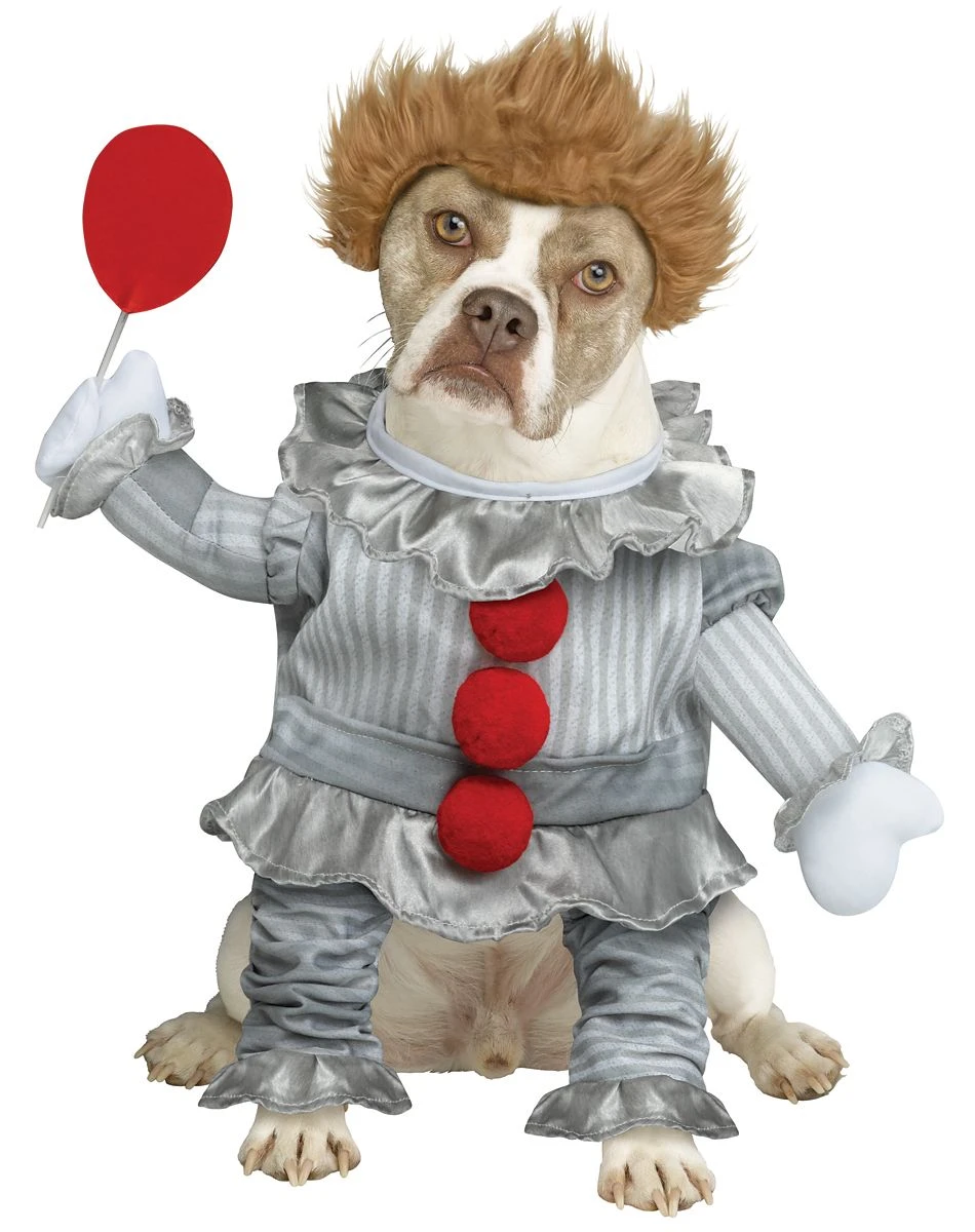 Spirit Halloween Pennywise Pet Costume 3 Spirit Halloween Pennywise Pet Costume