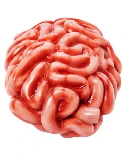 Spirit Halloween Intestines Prop -MELONHALLOW Sales 01588029 c