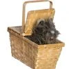 Spirit Halloween Toto in a Basket - The Wizard of Oz 2 Spirit Halloween Toto in a Basket - The Wizard of Oz -MELONHALLOW Sales 01594290 a
