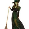 Spirit Halloween Adult Wicked Witch Costume - The Wizard of Oz 1 Spirit Halloween Adult Wicked Witch Costume - The Wizard of Oz -MELONHALLOW Sales 01601095 a