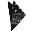 Spirit Halloween Black Paisley Bandana 2 Spirit Halloween Black Paisley Bandana -MELONHALLOW Sales 03034170 a