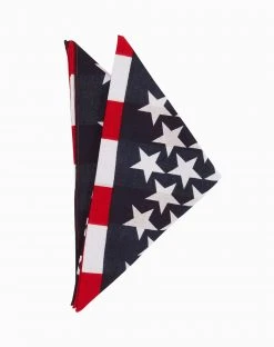 Spirit Halloween American Flag Bandana