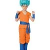 Spirit Halloween Kids Goku Costume - Dragon Ball Super -MELONHALLOW Sales 07412653 a
